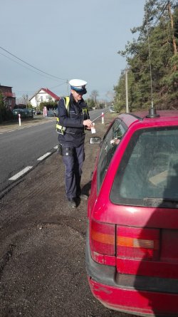 Na zdjęciu widać tylną cześć samochodu marki volkswagen passat, pojazd został zatrzymany do kontroli drogowej. Przy pojeździe od strony kierowcy stoi funkcjonariusz Policji, który rozmawia z kierującym pojazdem